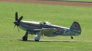 Yakovlev Yak3 quotDFYACquot  Airshow Degerfeld  takeoff amp display amp landing [upl. by Yedorb]