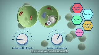 How can BloomGenixTM be used to formulate highperforming biostimulants [upl. by Artap]