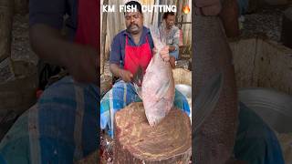 KASIMEDU 🔥 SPEED SELVAM FISH CUTTING VIDEO speedselvamcutting kasimeduselvam shorts shortfeed [upl. by Nangem]