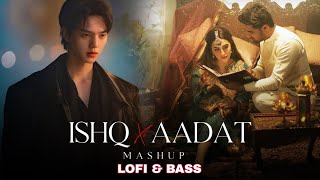 Ishq x Aadat Mashup Full Version  ‪LOFI amp BASS  Trending Audio 2024 last love mashup [upl. by Krucik]