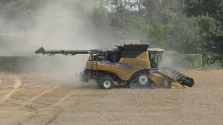 Harvest 2024  New Holland CR990 Harvesting Dusty Wheat [upl. by Pirri]