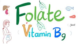 Vitamin B9 Folate 🥬  Folic  Structure Function Folate Deficiency Anemia Diagnosis amp Treatment [upl. by Ahsin687]