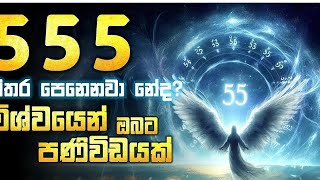 555 Angel number meaning in sinhala [upl. by Ecirual237]