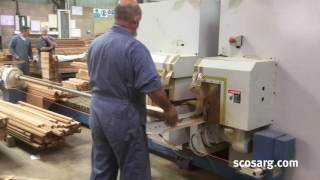 2012 EChain ECT Double End Tenoner for Sale  ScottSargeant Woodworking Machinery [upl. by Asinet]