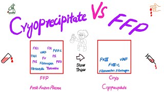 Cryoprecipitate vs FFPFresh Frozen Plasma [upl. by Aurora]