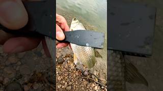 Отпускаем ельца Мормышинг на Gamakatsu LUXXE Ten S48ALsolid fishing gamakatsu fish ten [upl. by Aitital]