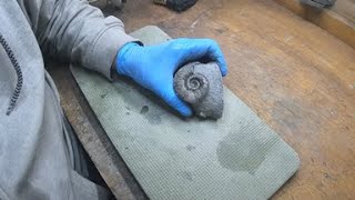 Fossil preparation  Yorkshire ammonite gramoceras 9 [upl. by Gninnahc768]