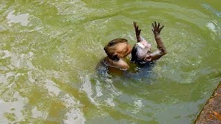 Playing wrong in water  Baby Polino is nearly drown in pool [upl. by Koosis]