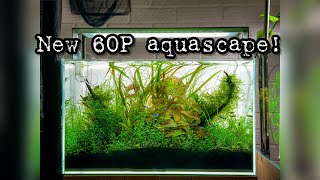 New 60P Aquascape [upl. by Nevear]