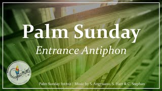 Palm Sunday Entrance Antiphon  Palm Sunday Hosanna Song  Introit with Lyrics  Sunday 7pm Choir [upl. by Olsewski]