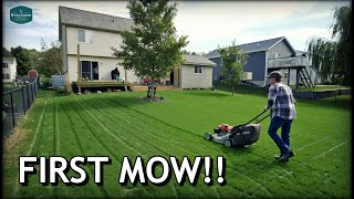 When To MOW WATER FERTILIZE New Lawns  FIRST MOW on Tall Fescue [upl. by Atnwahs]