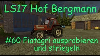 LS17  Hof Bergmann  60 Fiatagri ausprobieren und striegeln [upl. by Yrok]