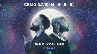 Craig David amp MNEK  Who You Are Stripped Official Audio [upl. by Haissi]