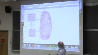 31 Biochemistry Lecture LipidFat Metabolism I from Kevin Aherns BB 350 [upl. by Emanuel]