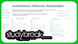 Haushaltstheorie Präferenzen Nutzenfunktion  Volkswirtschaftslehre [upl. by Kistner833]