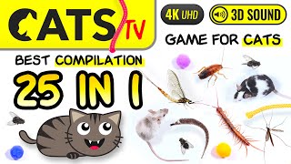 CATS TV  25 IN 1 😻🪳 BEST Games Compilation for cats 🐭🕷️🪰 4K Cats TV 3 Hours [upl. by Metzgar]