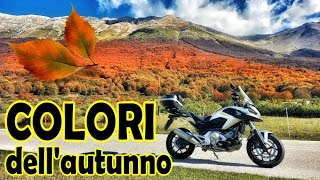 Autumn in Abruzzo Maiella Colours Foliage nelle montagne Abruzzesi di Passo San Leonardo in 4K [upl. by Niroht215]