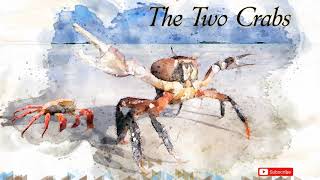 Aesops Fables  The Two Crabs [upl. by Barbaraanne]