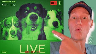 Hundetraining und Hundeerziehung Live mit DogMa 🐶👍 [upl. by Eelak]