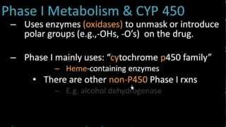 Phase I Metabolism  Pharmacology Lect 7 [upl. by Stegman971]