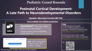 April 14 2022 Postnatal Cortical Development A Late Path to Neurodevelopmental Disorders [upl. by Agnese]