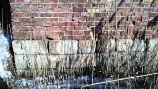 Abandoned Smoke Stack West of 355 Bridge in Lemont IL Below Bluff Road [upl. by Dadivitan746]