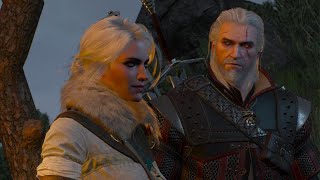 The Witcher 3 Wild Hunt  Complete Edition Part 77 The Sunstone [upl. by Tyika316]