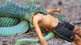 ANACONDA ATTACKS fishing boy in water  Ataque de anaconda  fun made movie part 45 [upl. by Toffey]