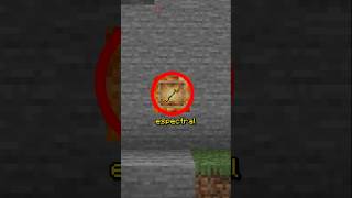 Itens estranhos no Minecraft A Flecha Espectral shorts [upl. by Simonetta]