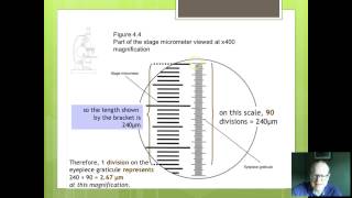 OCR Biology 3 Using graticules [upl. by Strawn612]