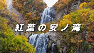 【秋田県北秋田市】紅葉の安ノ滝🍁中ノ又渓谷に行ってきました☆奥阿仁の自然美 [upl. by Franky77]