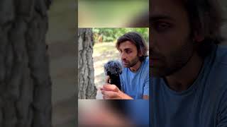 CANCELLING A TREE asmr asmrcommunity comedy asmrtriggers relax tingles tappingtriggers [upl. by Noevart]