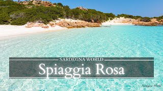 La Spiaggia Rosa dellIsola di Budelli  4K  Sardegna World by drone [upl. by Beatrice]