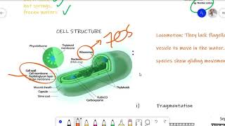 Diversity of Plants Lecture 04 Cyanobacteria for BS Botany Zoology Chemistry [upl. by Nimrahc]