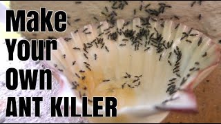 How To Make Homemade ANT KILLER [upl. by Leuamme419]