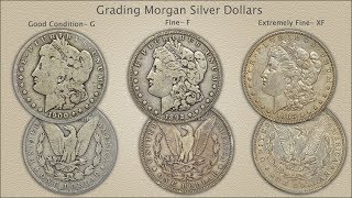 Grading Morgan silver Dollars [upl. by Hutchings75]