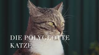 DIE POLYGLOTTE KATZE 🐈 Heinz Erhardt 19091979 [upl. by Mehitable]