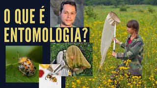 O QUE É ENTOMOLOGIA E O QUE FAZ UM ENTOMOLOGISTA [upl. by Norry]