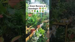 Green Green Nursery at khandagiri kpop music song lyrics food rap [upl. by Auqeenwahs]