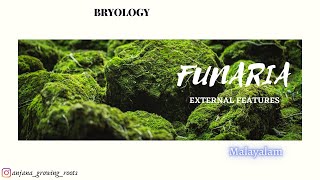 Funaria  External Features  Malayalam  Gametophytic Plant Body Of Funaria [upl. by Aknahs]