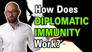 Does Diplomatic Immunity Really Make It So You Can Get Away with Murder [upl. by Anuaek]