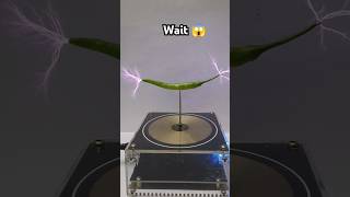 😱 Music Tesla coil reel 🔥teslacoil matchstick experiment teslacoilelectroboom [upl. by Lerad]