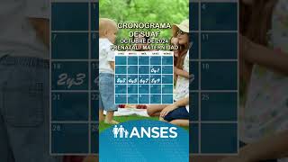 Cronograma de Anses con fechas de pago de asignaciones familiares del SUAF en octubre anses [upl. by Missak]