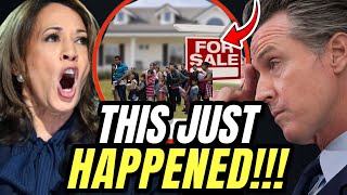 Kamala LOSES IT amp YELLS At Gavin Newsom After VOTERS GO TRUMP For FREE illegal immigrants Home Loans [upl. by Osnola959]