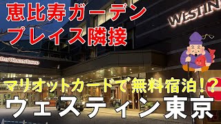 【ホテル】ウェスティンホテル東京 朝食やアフタヌーンティーが大人気 恵比寿ガーデンプレイス隣接 [upl. by Nilknarf346]