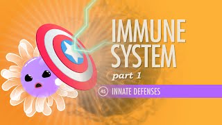 Immune System Part 1 Crash Course Anatomy amp Physiology 45 [upl. by Lubeck]