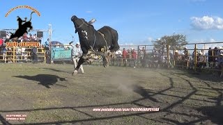 ¡FIESTA TARASCA LOS TOROS DIVINOS AGUA ZARCA GANADERIA TUPATARILO TUPATARILLO 2016 [upl. by Domeniga]