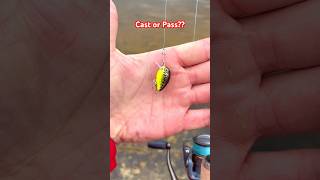 MICRO Crankbaits catch EVERYTHING [upl. by Clausen]