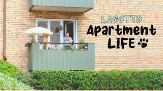 Lagotto Romagnolo  Daily Routine of a dog living in an apartment [upl. by Yoko]