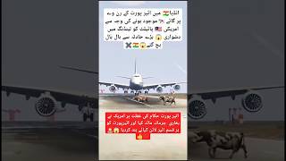 American airlines boeing A389 difficult landing in India aviation trending reelsstortsf16 new [upl. by Haymo637]